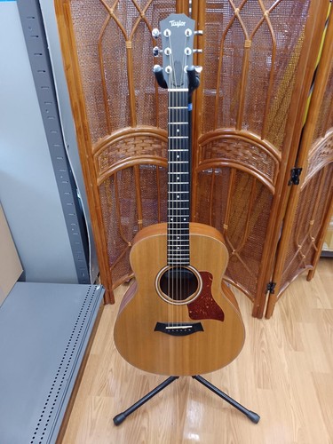 Taylor mini electric - mini,