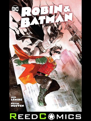 Robin and batman graphic novel - and,