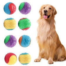 8X Scooby-Doo Durable Squeaky