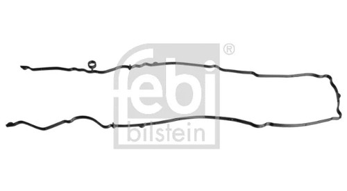 Gasket timing case cover fits - timing,