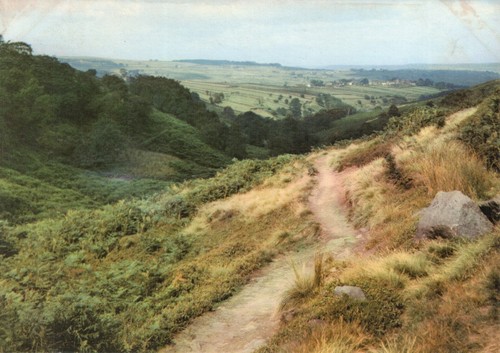 Postcard the valley - postcard,