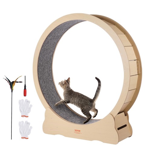 Cat exercise wheel quiet - exercise,