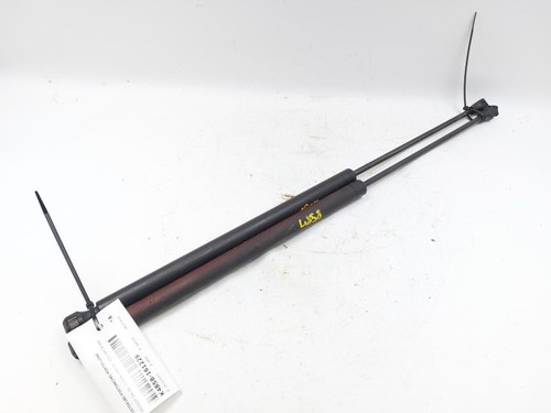 9619704180 tailgate gas struts - tailgate,