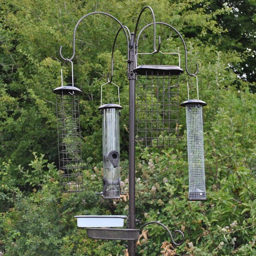 Metal complete bird - complete, feeding