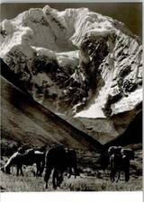 13007645 - Andes Expedition 1971 German Nature lovers, mountains expeditions