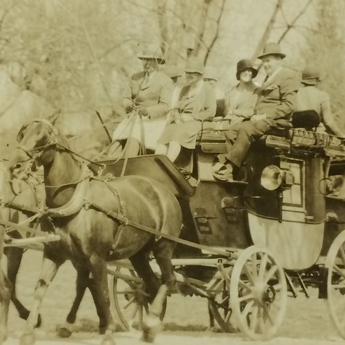 Antique photo horse - antique, horse-drawn