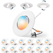 12 Pack 6 Inch Retrofit