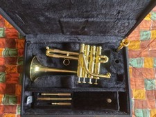 Carol Brass 7775 Piccolo Trumpet And Gold 7e Mp