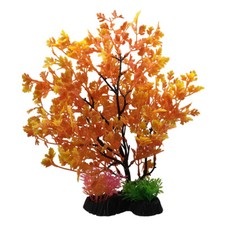 Swell Orange Maple Tree