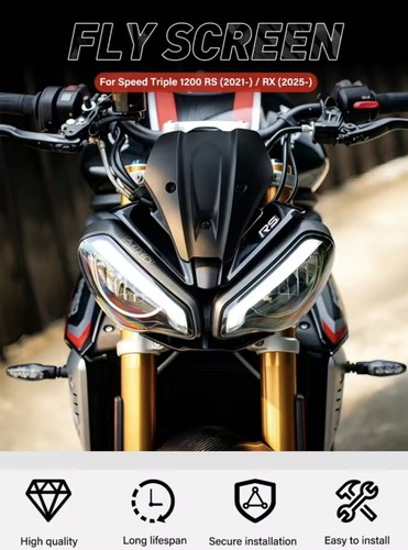 Triumph speed triple - triumph,