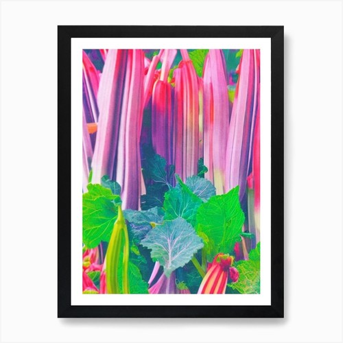 Rhubarb risograph retro - risograph,