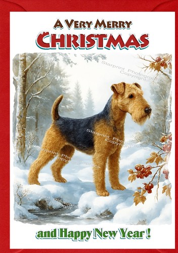 Lakeland terrier dog x - dog, a6