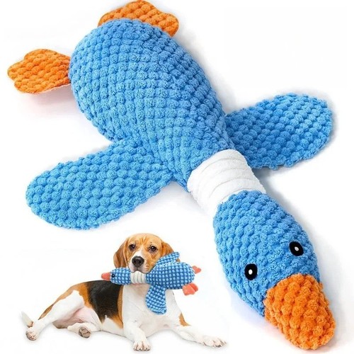 Pet dog chew toys - chew, duck