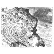 CORNWALL Fox hounds on the