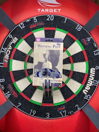 Raymond van barneveld - van, barney25