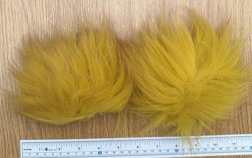 Arctic silver fox bleached - silver, fox.