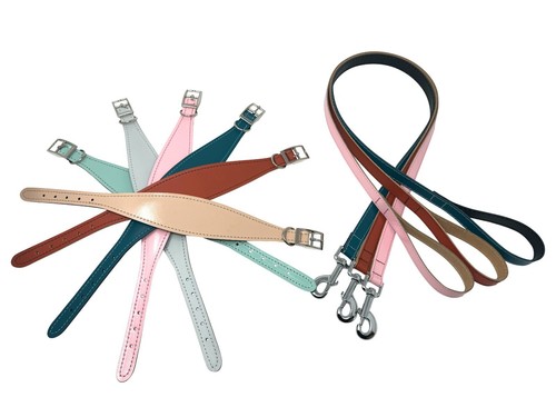Leather greyhound collar - leather,