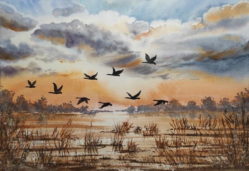 Ducks fly cloudy sky original - cloudy,
