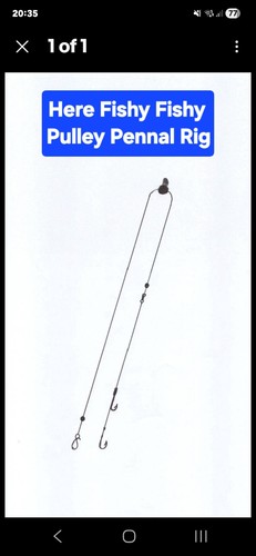 Pulley rigs big - big, fish