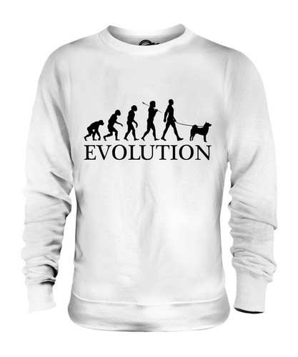 Akita inu evolution - evolution, of