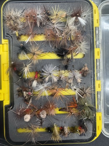 140 mixed dry - mixed, flies