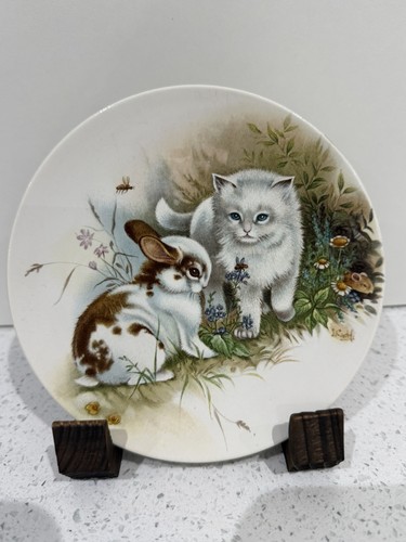 Poole england plate cat - poole,