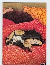 Postcard Two Cats/Kitten