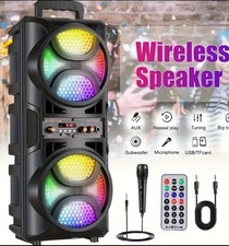 3000W Double 16.51cm Subwoofer