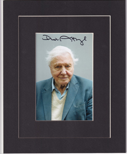 Sir david attenborough - david,