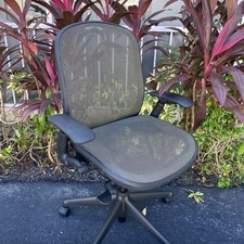 Knoll Chadwick Generation Mesh