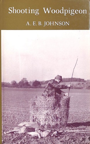 Shooting wood pigeon austin - wood,