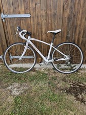 Ladies Specialised Dolce Road