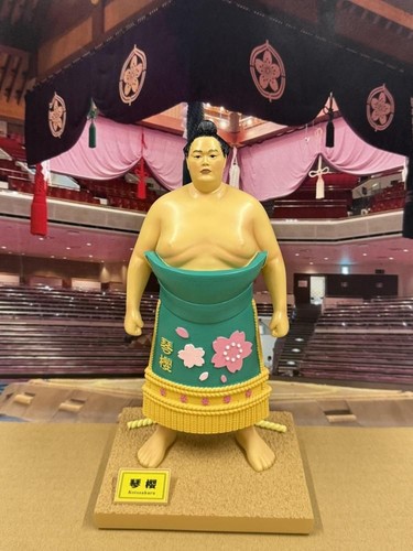 Sumo wrester ozeki kotozakura - sumo,