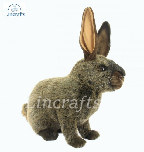 Hansa british giant bunny 4565 - british,