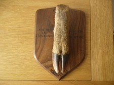 Devon & Somerset Stag Hounds