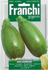Franchi Seeds Courgette Bolognese Zucchino
