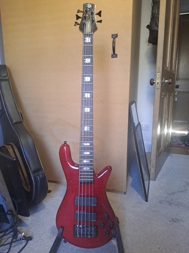 Spector rebop string bass - rebop,