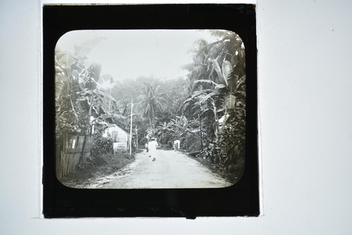 Tropical village street scene - street,