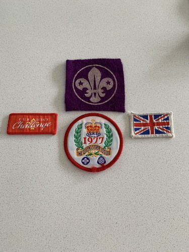 Boy scout badge - x,