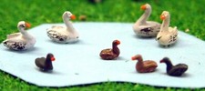 Waterfowl 4 swans 4 ducks