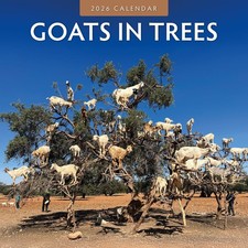 Goats in Trees 2026 Square Wall Calendar