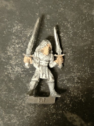 Elf duelist wardancer - elf,