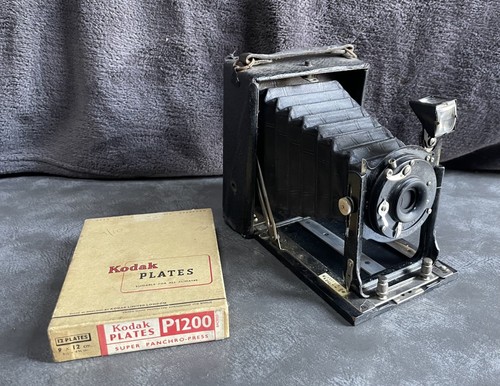 Pickard thornton antique - pickard,