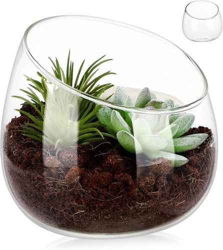 Toddmomy glass vase terrarium - toddmomy,