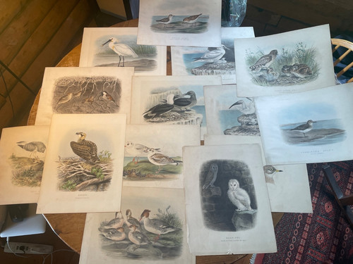 Edward neale original hand - neale,