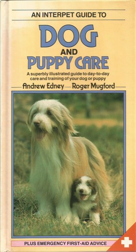 Dog and puppy - puppy, a