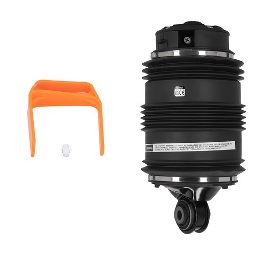 Rear air suspension spring - l/r,
