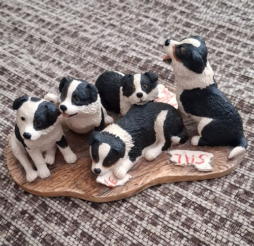 Border fine arts collie - border,