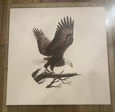 Very Large Wall Tile. American