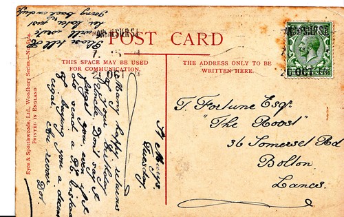 Genealogy postcard family - genealogy,